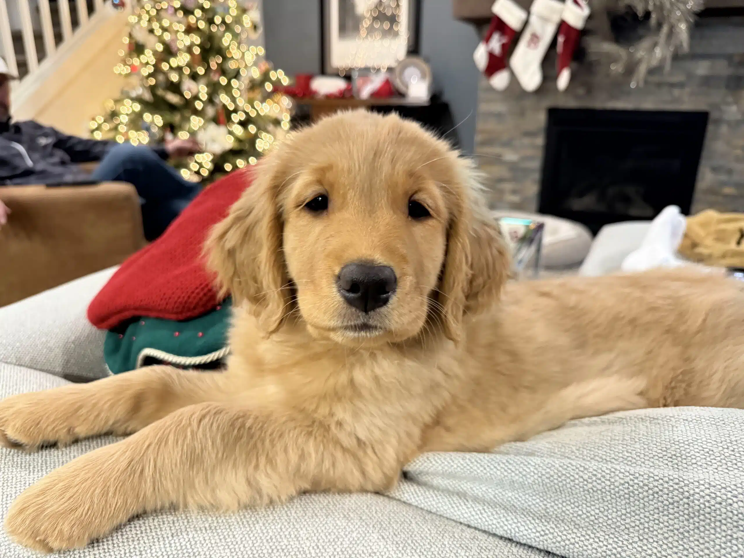 I Searched for a Roomba. What That Taught Me About the Future of Search and AI Visibility.